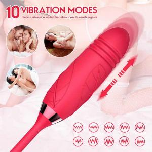 Double head rose vibrator