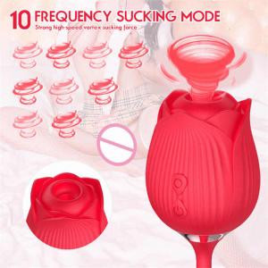 Double head rose vibrator